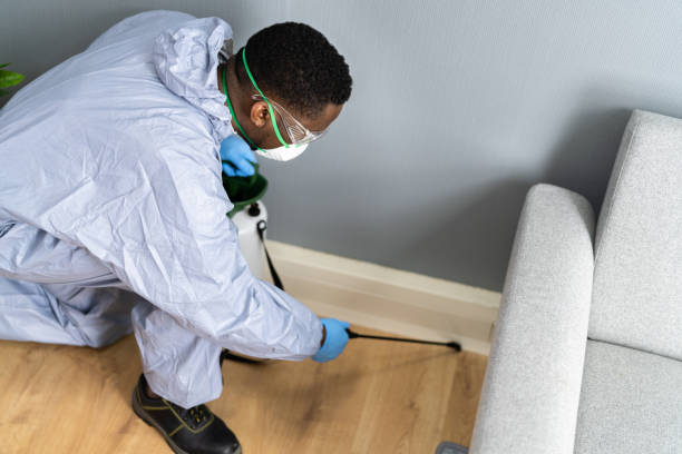 Best Bed Bug Extermination  in Scotts Valley, CA